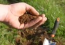 मृदा नमूना की जांच का कृषि में महत्व