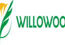 willowwood crop