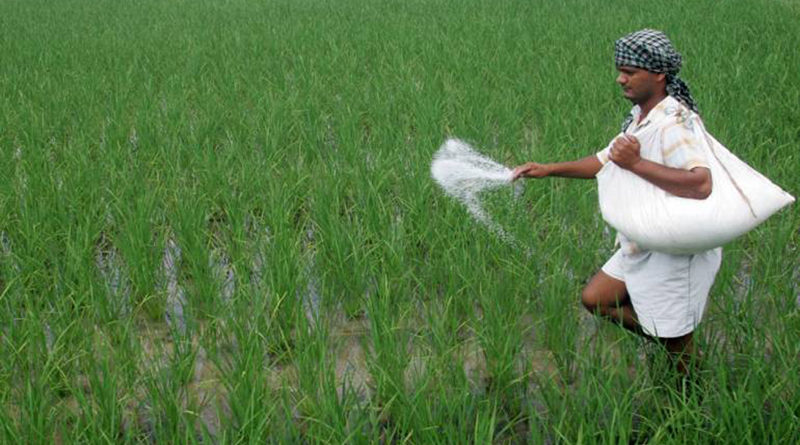 राजस्थान में कृषि विभाग के अधिकारियों ने की फसल खराबे की जांच