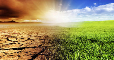 जलवायु आधारित कृषि तकनीक अपनाएं किसान : श्री पाण्डेय