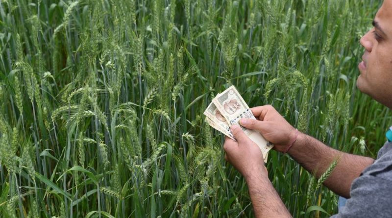 मध्य प्रदेश : मुख्यमंत्री श्री चौहान ने 15 लाख किसानों को ऑनलाइन दिये फसल बीमा के 2981.24 करोड़