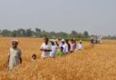 मध्य प्रदेश के किसान सीधे जुड़ेंगे निर्यातकों से: मंत्री श्री पटेल