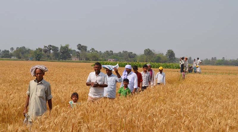 मध्य प्रदेश के किसान सीधे जुड़ेंगे निर्यातकों से: मंत्री श्री पटेल