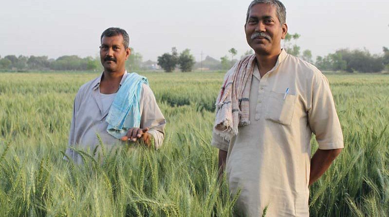 मध्य प्रदेश: गेहूँ खरीदी केन्द्रों पर कोरोना से सुरक्षा व्यवस्थाओं से खुश हैं किसान