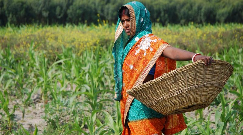 कोविड-19 के खिलाफ लड़ाई में किसानों की समस्‍याएं हल करने में भारतीय कृषि अनुसंधान परिषद के अनेक प्रयास
