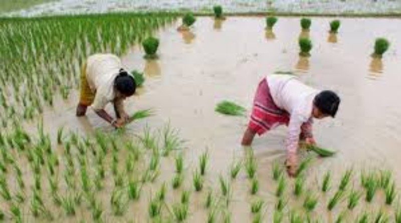 छग में खेती-किसानी के लिए मिलेगा 4600 करोड़ रूपए का ऋण