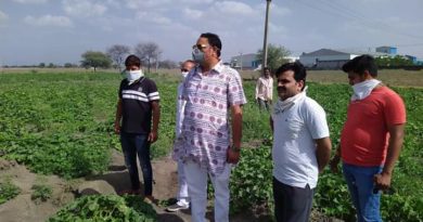 मध्य प्रदेश : सब्ज़ी किसानों को भारी नुकसान