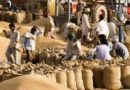 मध्य प्रदेश : गेंहू ख़रीदी के 2420 करोड़ रूपए किसानों के खाते में
