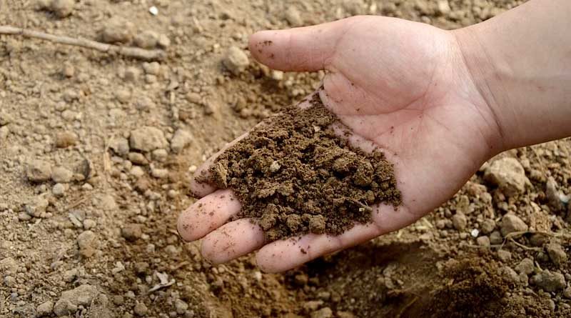 मध्यप्रदेश मे क्रषको के लिए प्रमुख योजना: मिट्टी परीक्षण-स्वाइल हैल्थ कार्ड योजना