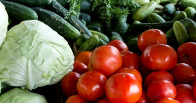 सब्जियां और फल: 'हाई डेंसिटी फार्मिंग' और 'प्रोटेक्टिव फार्मिंग' की तकनीकें