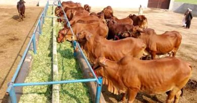 इंदौर जिले में पशु हाट बाजारों में पशुओं के क्रय-विक्रय पूर्णतया प्रतिबंधित