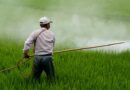 भारतीय कृषि में प्रतिबंधित एवं सीमित उपयोग के लिए कीटनाशकों की सूची