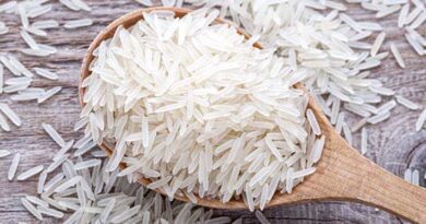भारत के गैर-बासमती चावल के निर्यात पर प्रतिबंध के फैसले से दुनियाभर में मची खलबली