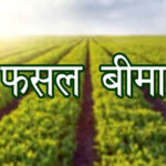 राजस्थान कृषि विभाग 87 हजार किसानों को बांटेगा 1 लाख से अधिक फसल बीमा पॉलिसी
