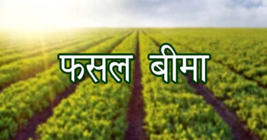राजस्थान कृषि विभाग 87 हजार किसानों को बांटेगा 1 लाख से अधिक फसल बीमा पॉलिसी
