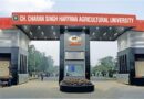 choudhary charan singh university