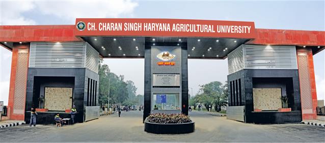 choudhary charan singh university