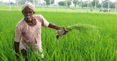 खरीफ फसलों की तैयारियों को लेकर कृषि अधिकारियों की किसानों को सलाह