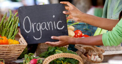 organic food procesing