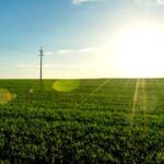 आरएडी योजना में ग्राम पंचायत स्‍तर पर लक्ष्‍य जारी