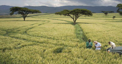 कृषि मैकेनाइजेशन 10 साल में दोगुना करने का लक्ष्य