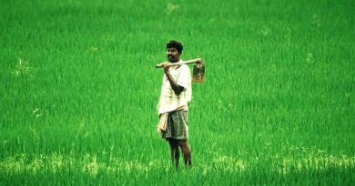 राजस्थान किसानों के लिए खुशखुबरी! एमएसपी पर मूंग व मूंगफली खरीद की पंजीयन सीमा 20 प्रतिशत से बढ़ाई