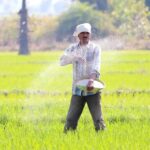 बड़वानी जिले के किसानों से खरीफ फसल हेतु उर्वरक का उठाव करने की अपील