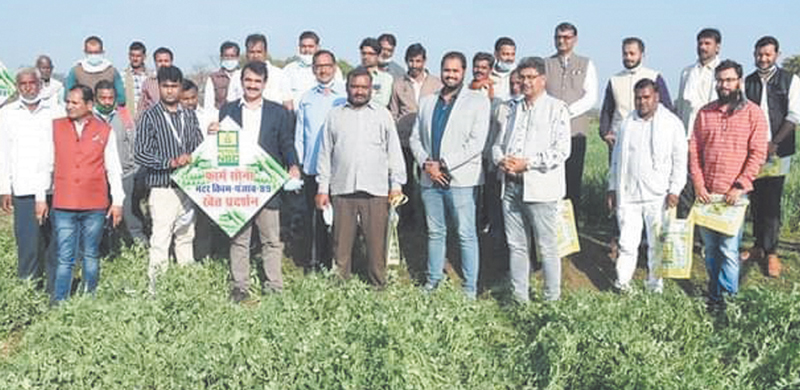 The green peas of Jabalpur waved abroad