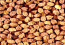 Permission to purchase gram, lentil and mustard from March 15