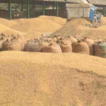 कलेक्टर ने दो समिति प्रबंधकों को दिया नोटिस