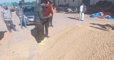 Markfed's important role in paddy purchase of Madhya Pradesh