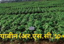 कृषि विश्वविद्यालय रायपुर द्वारा विकसित फसलों की 12 नई किस्मों को भारत सरकार की मंजूरी