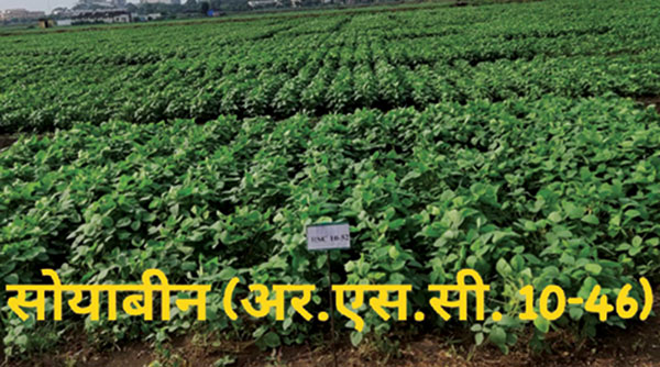 कृषि विश्वविद्यालय रायपुर द्वारा विकसित फसलों की 12 नई किस्मों को भारत सरकार की मंजूरी