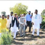 Cotton will get new identity