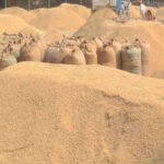 पिछले वर्ष अच्छी तरह सुखा कर भंडारण करने के बाद भी रोयेदार इल्ली खपरा भृंग का आक्रमण हुआ था। कारण बतायें।