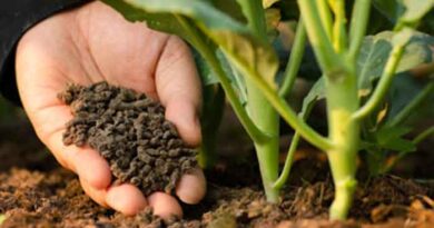 एब्सोल्यूट इनेरा ने जैव-कुशल कृषि आदानों की नई श्रृंखला शुरू की