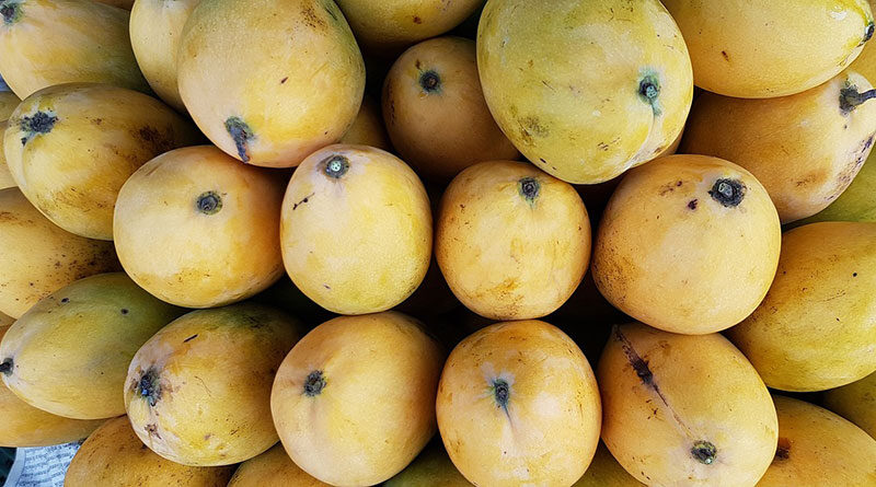 India exported mangoes to South Korea