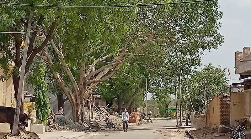 सगड़ोद में आबादी से दुगुने लगे हैं वृक्ष