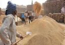 किसानों के लिए खुशखबरी! केंद्र ने गेंहू व सरसों समेत 6 रबी फसलों पर बढ़ाई एमएसपी