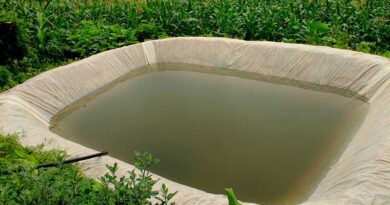 मध्य प्रदेश शासन की प्रमुख योजना: सामुदायिक टांका निर्माण- पानी की समस्या वाले ग्रामों में वर्षा जल के संचयन हेतु