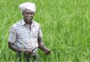 मध्य प्रदेश में कृषकों के लिए प्रमुख योजना : मुख्यमंत्री किसान कल्याण योजना