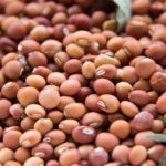 अरहर के कीट एवं रोग