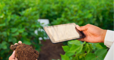 स्मार्टफोन कैमरे से छोटे किसानों को मिट्टी की पोषक स्थिति तुरंत मिलेगी