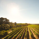 कृषक फसल विविधिकरण अपनाएं, कृषि विस्तार अधिकारियों का हुआ प्रशिक्षण