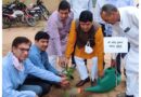 पोषण वाटिका महा अभियान एंव वृक्षारोपण कार्यक्रम में सांसद ने किया वृक्षारोपण