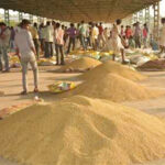 राजस्थान में नवीन कृषि उपज मंडियों की स्थापना के लिए चरणबद्ध तरीके से कार्य जारी