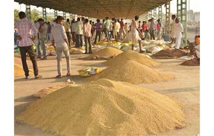 राजस्थान में नवीन कृषि उपज मंडियों की स्थापना के लिए चरणबद्ध तरीके से कार्य जारी