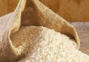 चावल की किस्म ओयूएटी कलिंगा चावल 5 (नबन्ना) (आईईटी 25140)