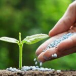 किसान विकल्प में नैनो यूरिया एवं एनपीके कांपलेक्स का उपयोग करें