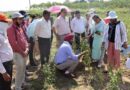 कृषि विवि में एनबीपीजीआर टीम ने किया अनुसंधान कार्यो का निरीक्षण